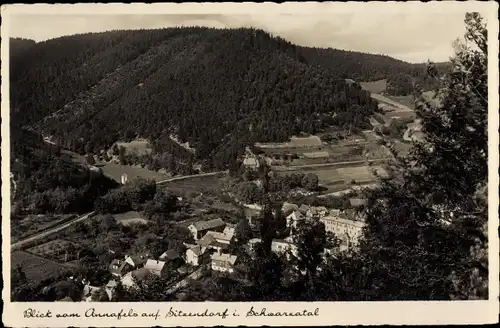 Ak Sitzendorf in Thüringen, Blick vom Annafels, Schwarzatal