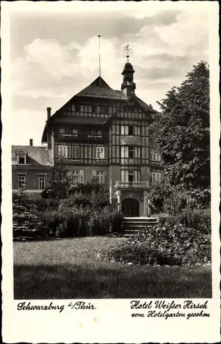 Ak Schwarzburg in Thüringen, Hotel Weißer Hirsch, vom Hotelgarten gesehen