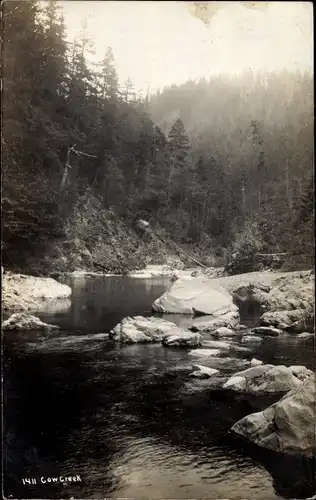 Ak Oregon USA, Cow Creek, Flusspartie