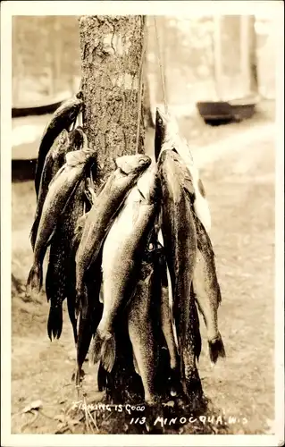 Foto Ak Minocqua Wisconsin USA, Fishing is good, gefangene Fische an einem Baum