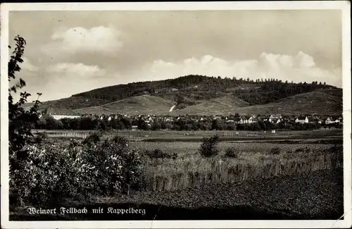 Ak Fellbach in Württemberg, Panorama mit Kappelberg