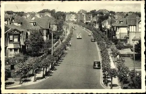 Ak Zoute Knokke Heist Westflandern, Elisabethlaan
