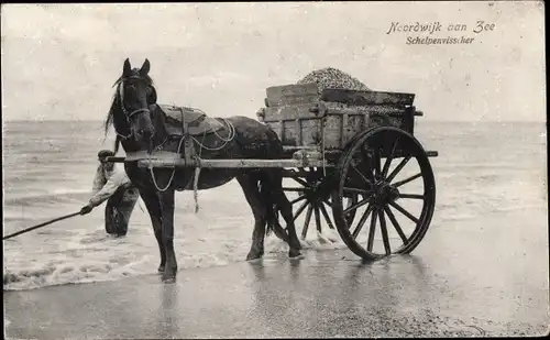 Ak Noordwijk aan Zee Südholland, Schlepenvisscher, Muschelfischer, Pferdekarren