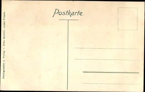 Ak Triptis in Thüringen, Bahnhofstraße, Kutsche