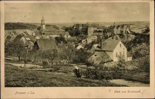 Ak Nossen in Sachsen, Blick vom Steinbusch