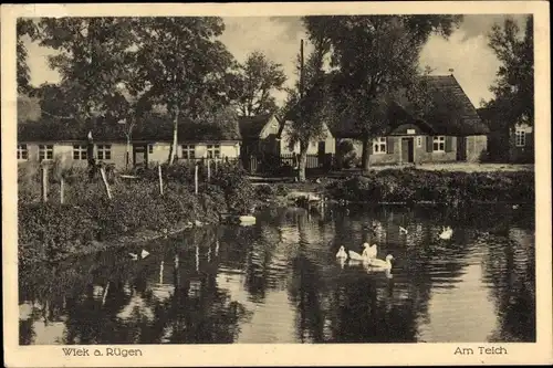 Ak Wiek auf Rügen, Teich