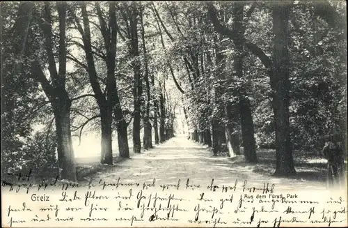 Ak Greiz im Vogtland, Partie aus dem Fürstl. Park