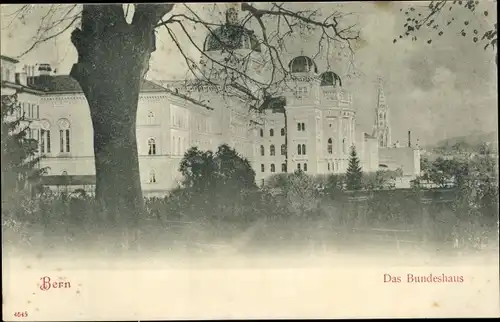 Ak Bern Stadt Schweiz, Das Bundeshaus