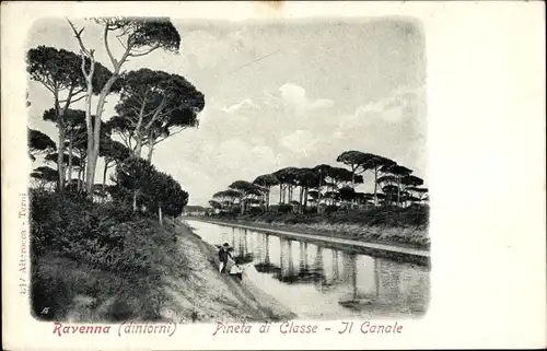 Ak Ravenna Emilia Romagna, Dintorni, Pineta di Classe, Il Canale