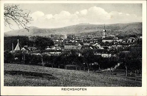 Ak Reichshoffen Reichshofen Elsass Bas Rhin, Panorama
