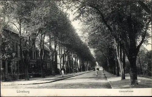 Ak Lüneburg in Niedersachsen, Lindenstraße