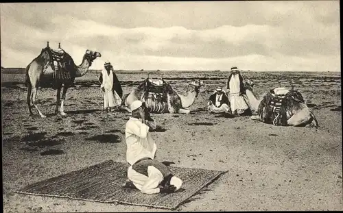 Ak Betender Araber in der Wüste, Kamel, Maghreb