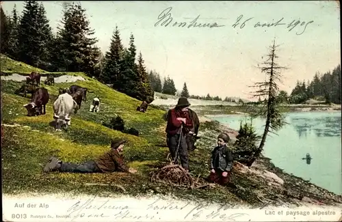 Ak Schweiz, Auf der Alp, Lac et paysage alpestre