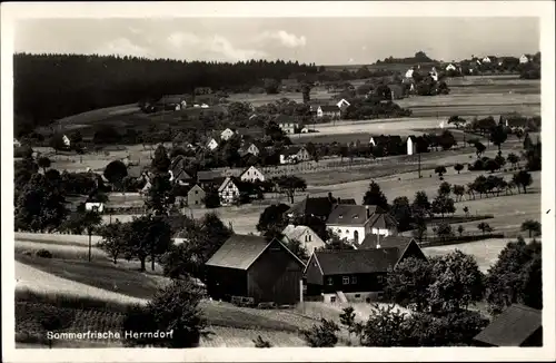 Ak Herrndorf Halsbrücke in Sachsen, Panoramaansicht von Ortschaft und Umgebung