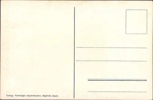 Ak Saalfeld an der Saale Thüringen, Gesamtansicht