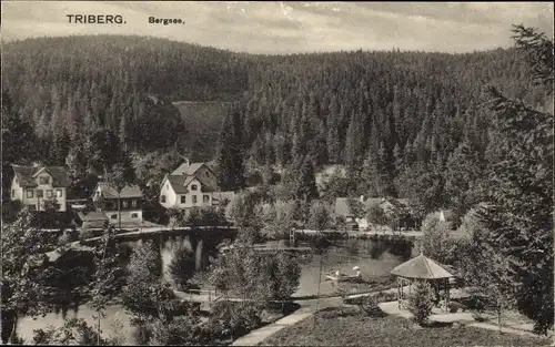 Ak Triberg im Schwarzwald, Teilansicht vom Ort, Bergsee, Wald