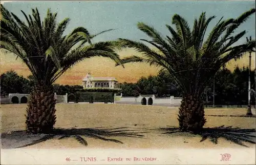 Ak Tunis Tunesien, Entrée du Belvedere