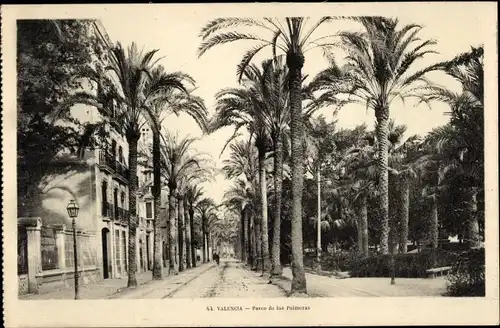 Ak Valencia Stadt Spanien, Paseo de los Palmeras