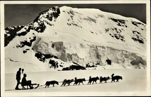 Ak Schweiz, Jungfraujoch, Polarhunde und der Mönch, Hundeschlitten