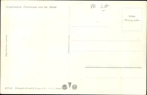 Ak Schweiz, Jungfraujoch, Polarhunde und der Mönch, Hundeschlitten