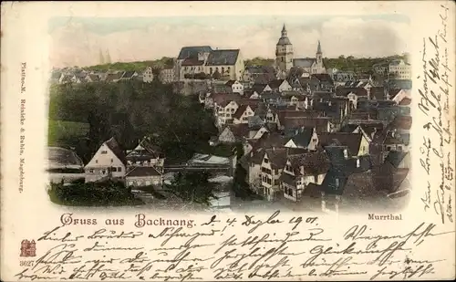 Ak Backnang in Württemberg, Murrthal, Blick auf den Ort