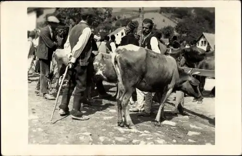 Foto Ak Partie am Markt, Dorfbewohner, Kühe