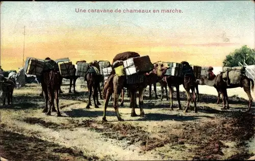 Ak Une caravane de chameaux en marche