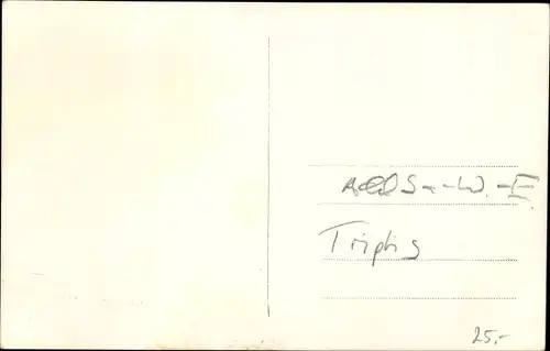 Foto Ak Triptis in Thüringen, Adel Sachsen Weimar Eisenach, Zuschauer