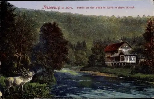 Ak Treseburg Thale im Harz, Partie an der Bode b. Hotel Weisser Hirsch