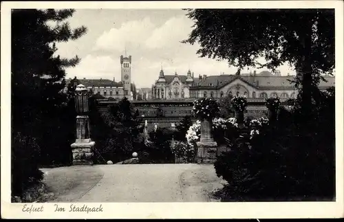 Ak Erfurt in Thüringen, Im Stadtpark