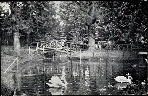 Ak Apolda in Thüringen, Schötener Anlagen