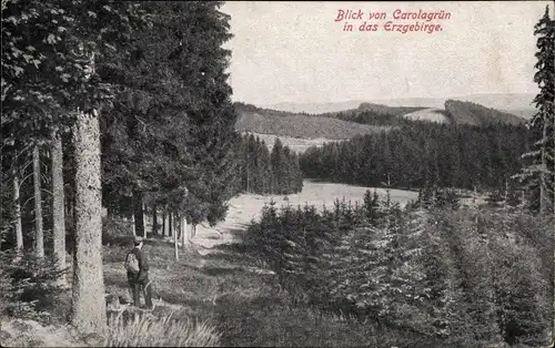 Ak Carolagrün Auerbach im Vogtland, Panorama, Wanderer