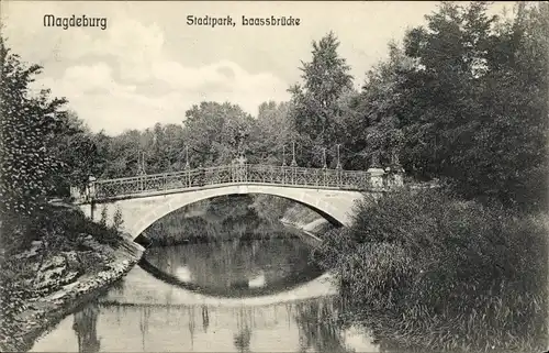 Ak Magdeburg an der Elbe, Stadtpark, Maassbrücke