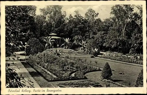 Ak Kołobrzeg Kolberg Pommern, Partie im Rosengarten