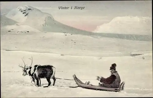 Ak Norwegen, Winter, Rentier