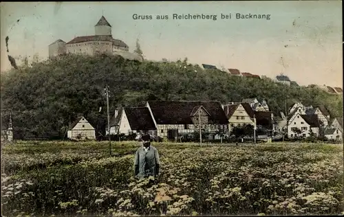 Ak Reichenberg Oppenweiler in Baden Württemberg, Blick auf den Ort, Burg