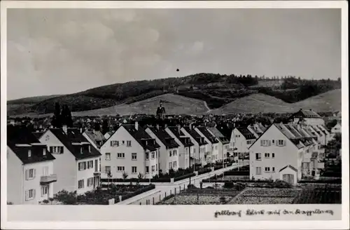 Foto Ak Fellbach in Württemberg, Blick auf den Kapellberg