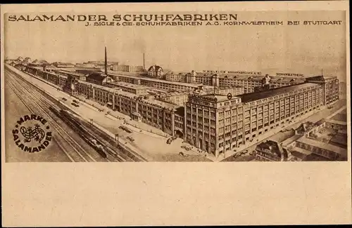 Ak Kornwestheim in Württemberg, Salamander Schuhfabriken, J. Siegle & Cie.