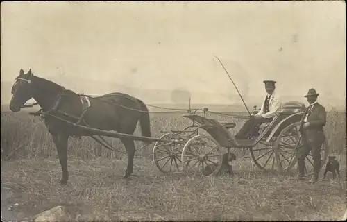 Foto Ak Kutsche, Männer, Kutscher, Hund, Feld, Getreide