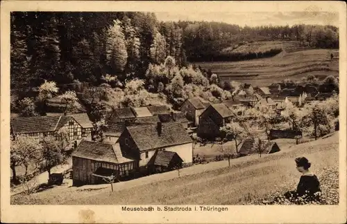 Ak Meusebach Thüringen, Panorama vom Ort