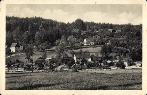 Ak Berggießhübel in Sachsen, Zwiesel, Panorama