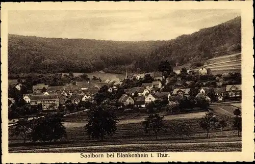 Ak Blankenhain in Thüringen, Saalborn, Panorama