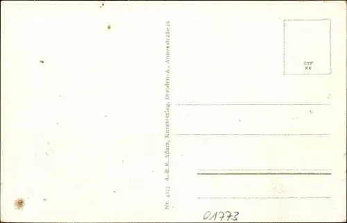 Ak Schellerhau Altenberg im Erzgebirge, Ortsansicht, Wohnhäuser