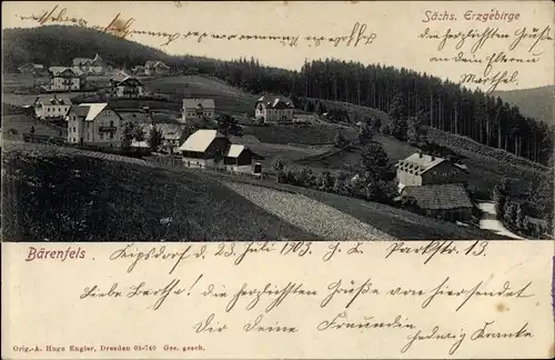 Ak Bärenfels Altenberg im Erzgebirge, Panorama vom Ort