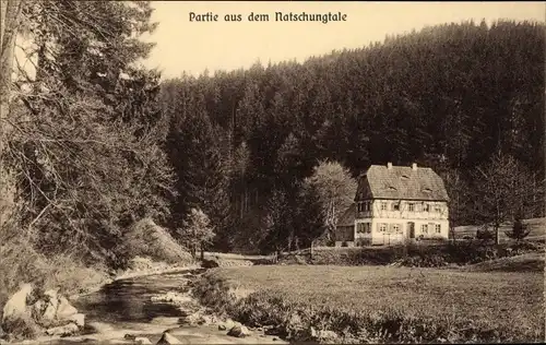 Ak Obernatzschung Rübenau Marienberg im Erzgebirge, Partie aus dem Natschungtal, Wald, Haus