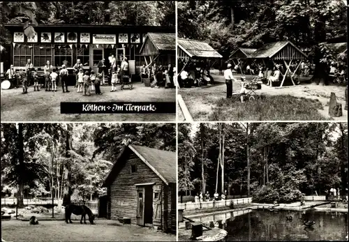 Ak Köthen in Anhalt, Tierpark, Waldschenke