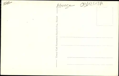 Ak Videsaeter Stryn Norwegen, Serpentine