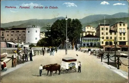 Ak Funchal Insel Madeira Portugal, Entrada da Cidade