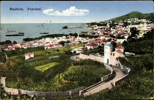 Ak Funchal Insel Madeira Portugal, Panorama