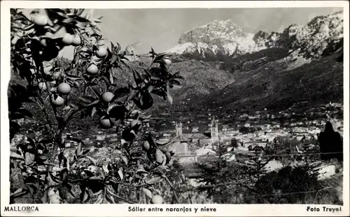 Ak Soller Mallorca Balearische Inseln, Panorama